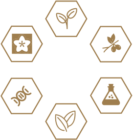 KS��ʱ��(�й���)�ٷ���վ