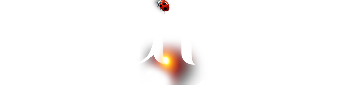 KS凯时·(中国区)官方网站