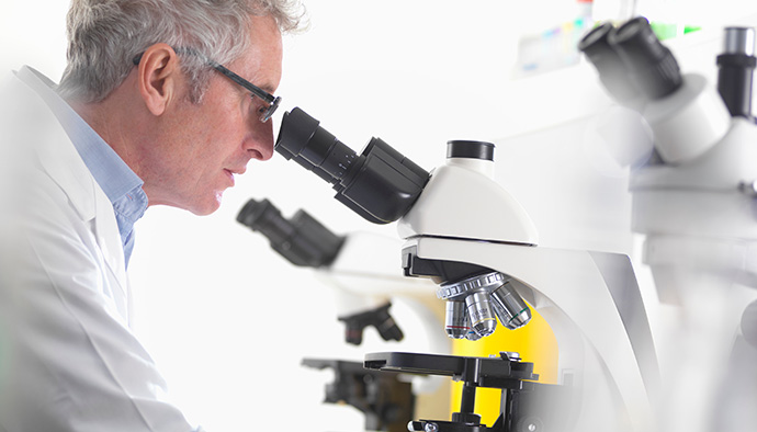 KS凯时·(中国区)官方网站