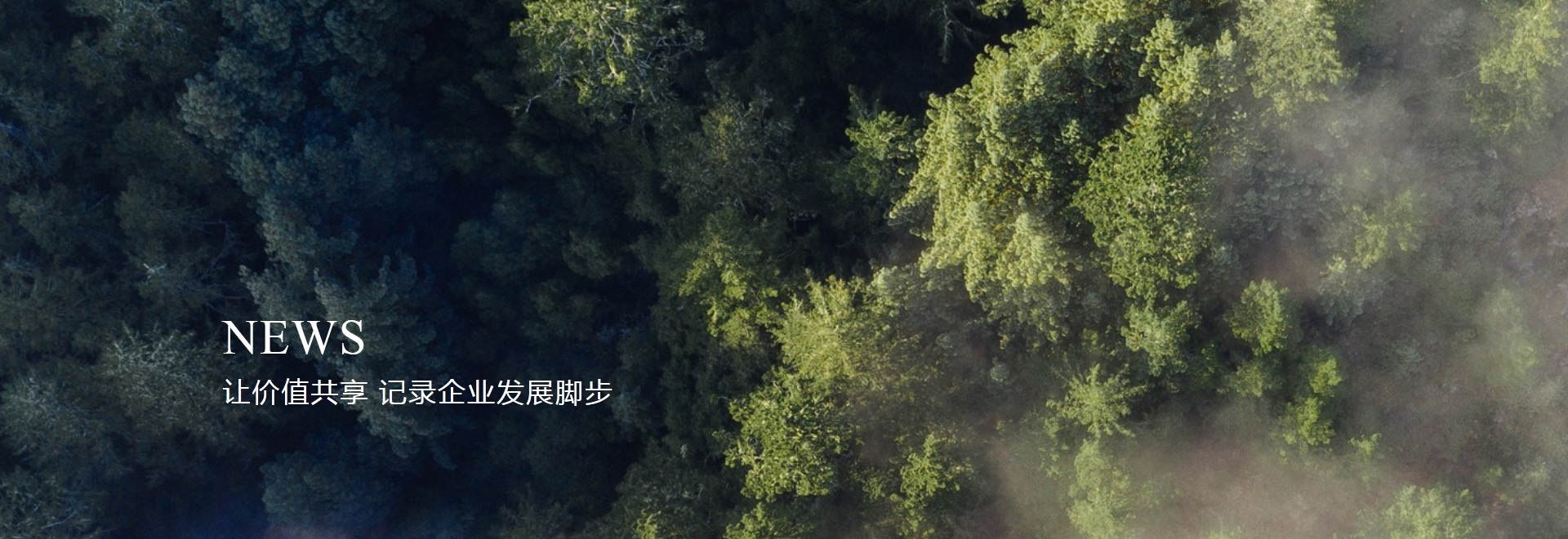 ������ʿ