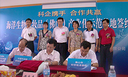 KS��ʱ��(�й���)�ٷ���վ