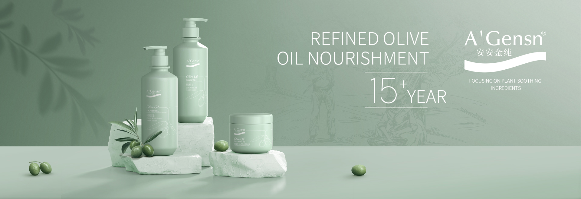 ������ʿ