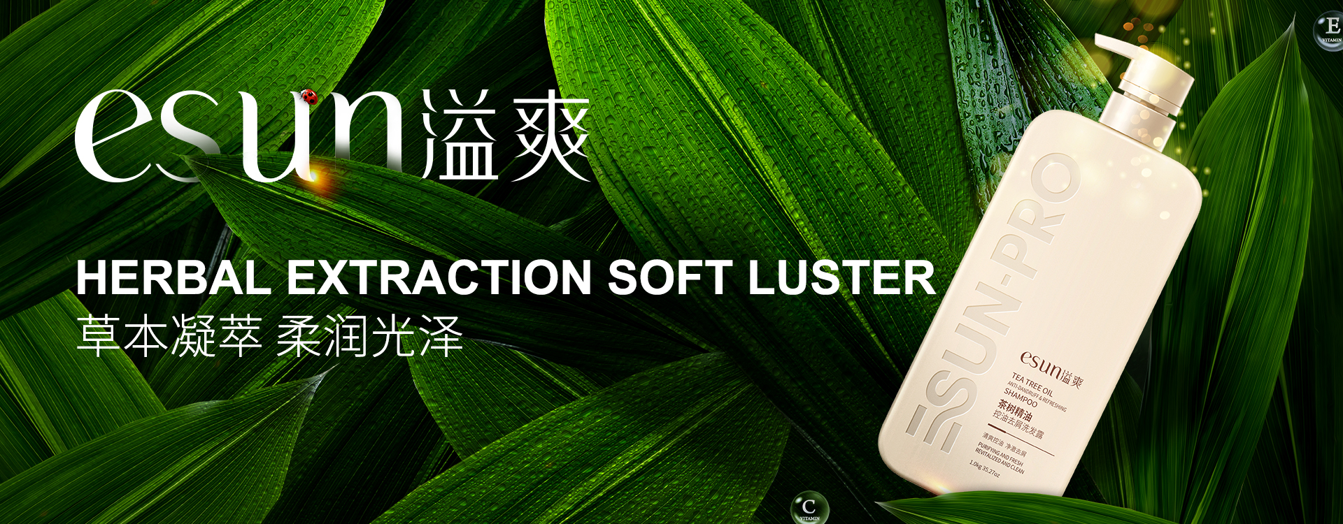 ������ʿ