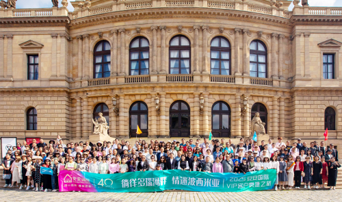 �ǻ���觺��� ���Բ�������