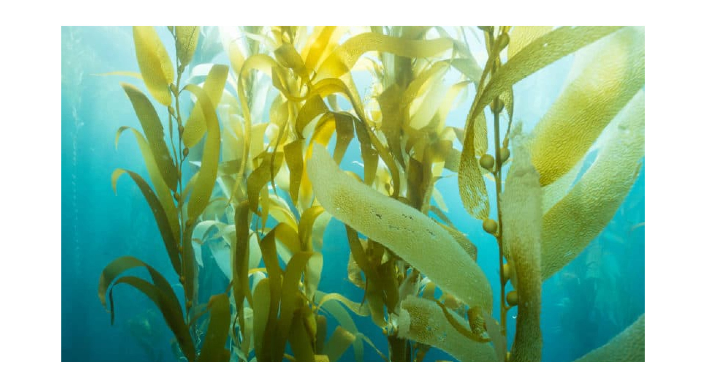 20210716º£ÑóÏîÄ¿¾Û»áÍÆÎÄ_»°å-1_05.jpg 20210716º£ÑóÏîÄ¿¾Û»áÍÆÎÄ_»°å-1_05.jpg